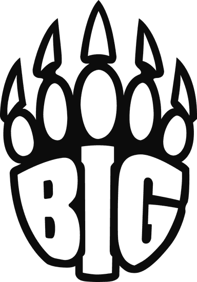 BIG · Counter-Strike 2 esports team logo